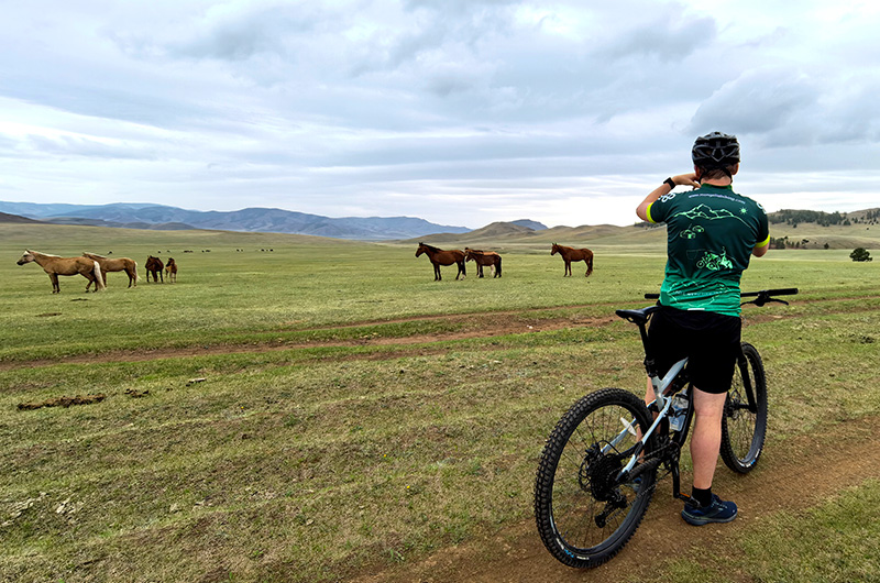 Cycling tour in Mongolia